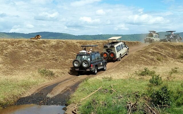 Safari Tour Booking